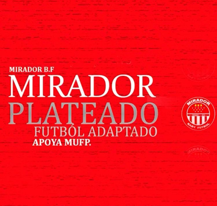 miradorPlateado
