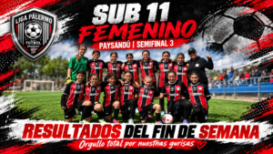 destac_sub11